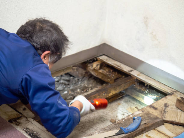 Best Water Damage Restoration  in Preston, TX