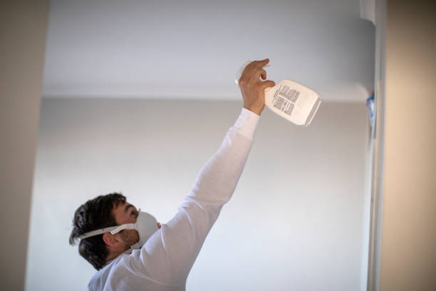 Best Fast Mold Removal  in Preston, TX