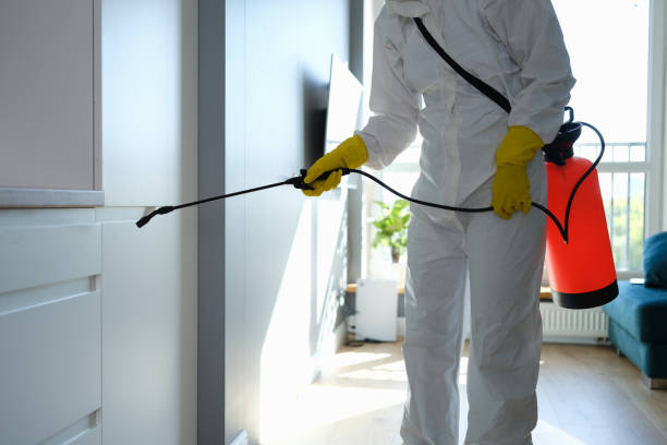 Best Mold Remediation Services  in Preston, TX