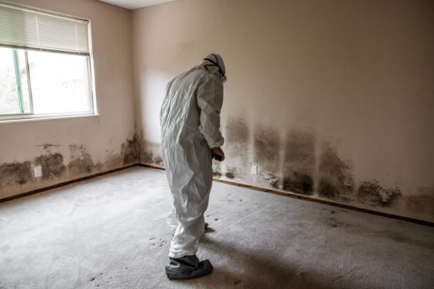 Crawl Space Mold Removal in Preston, TX